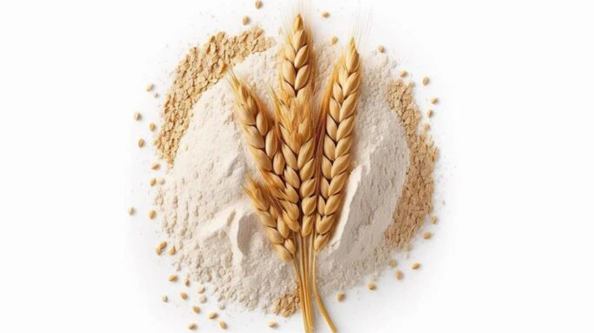 Natural Immunity Boost with Biofortified Atta: A Nutrient-rich Staple