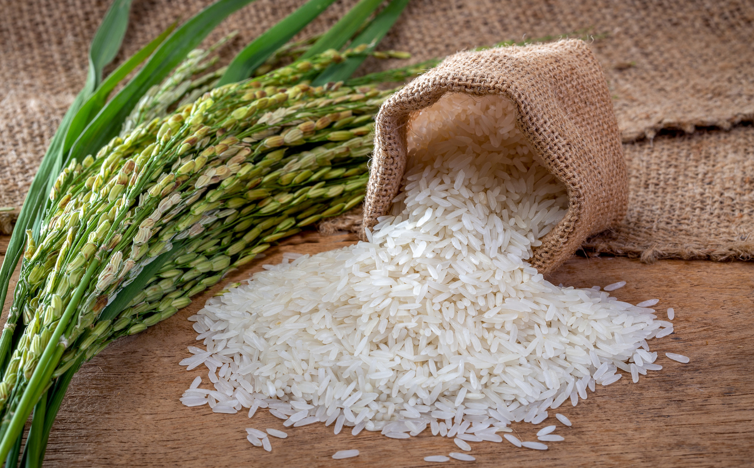 What Is Safer and Healthier – Rice or Wheat