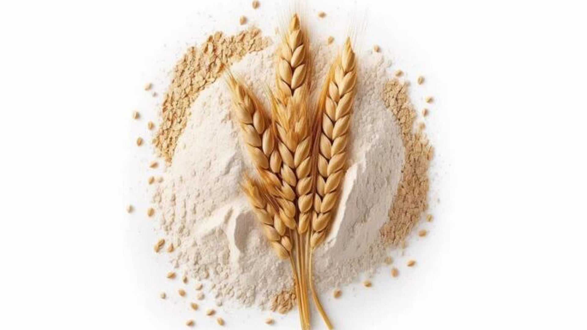 Natural Immunity Boost with Biofortified Atta: A Nutrient-rich Staple