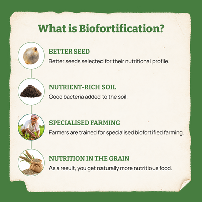 Biofortified Sprouted Bajra Atta / Pearl Millet Flour