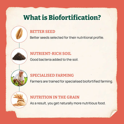 Biofortified Fusilli / Wheat Pasta