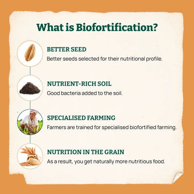 Biofortified Macaroni / Wheat Pasta