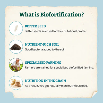 Biofortified Sonamasoori Rice