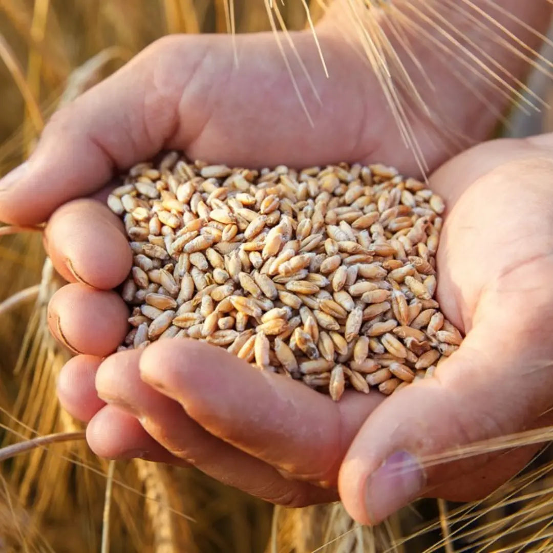 Naturally Biofortified